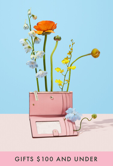 gifts $100 and under