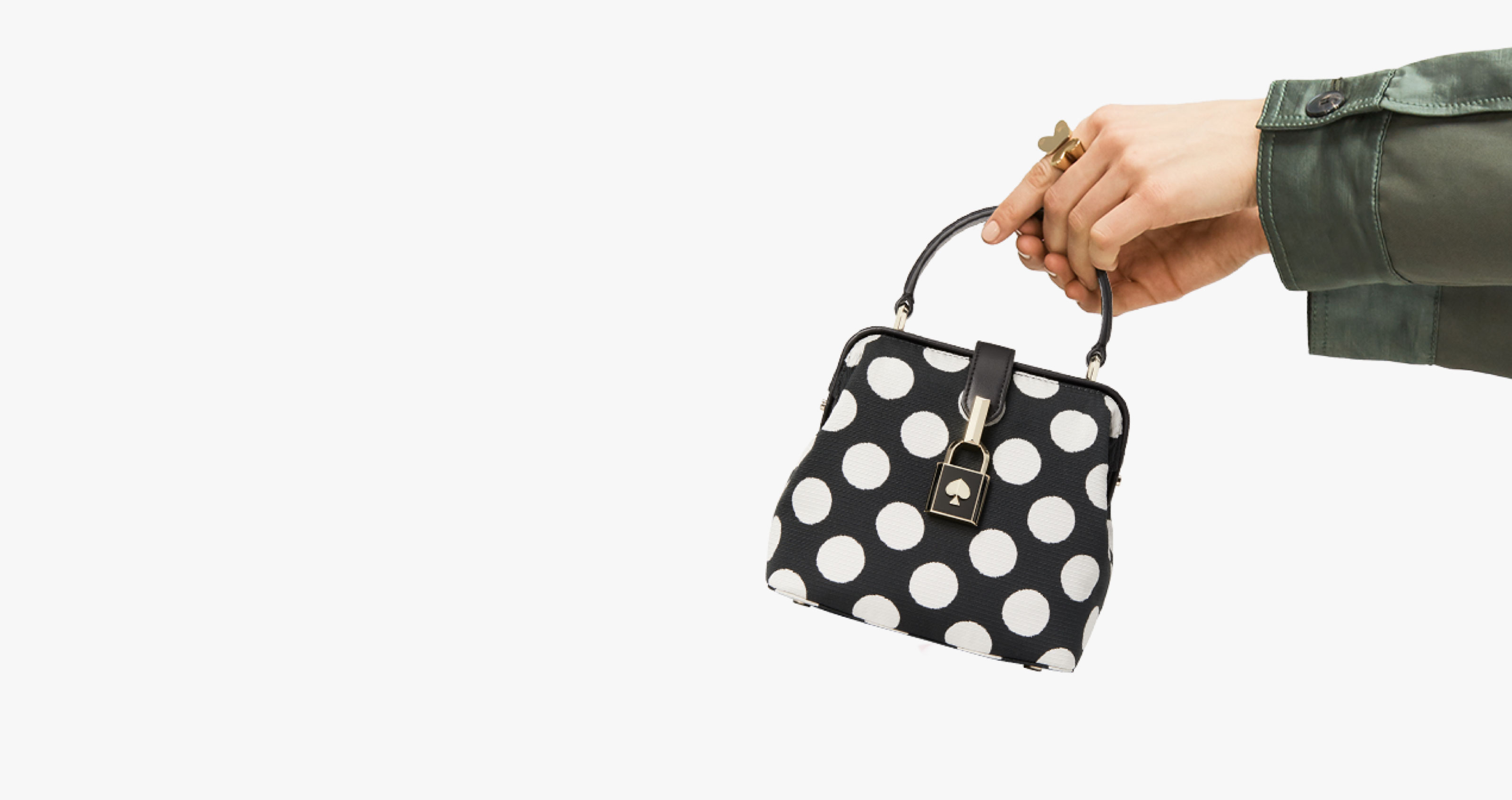 cat with remedy handbag